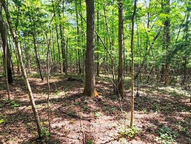 0 Helenwood Loop Rd unit 24289292, Helenwood, TN 37755 - photo 5