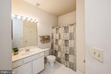 11333 Westbrook Mill Ln unit 301, Fairfax, VA 22030 - photo 7