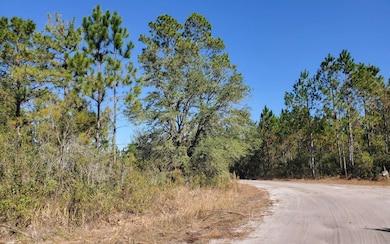 0 Brown Rd unit 123992, Lee, FL 32059 - photo 5