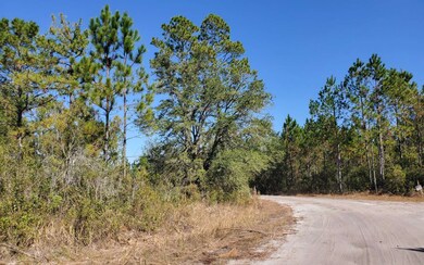 0 County Line Rd unit 123992, Lee, FL 32059 - photo 5