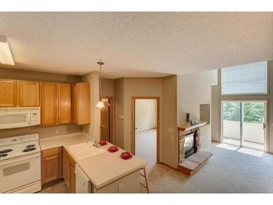 1009 107th Ln NW unit 104, Coon Rapids, MN 55433 - photo 5