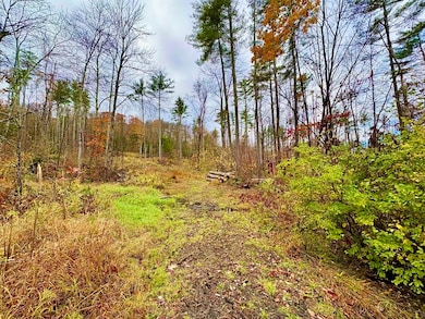 lot 1 Shelburne Falls Rd, Conway, MA 01341 - photo 3