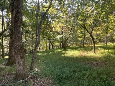 LOT 8 Clear Creek Preserve Way, Ellijay, GA 30536 - photo 7