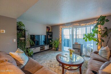 Bright & Open Living Area Upon Entry