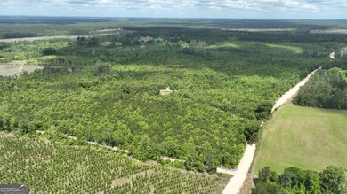 0 N Indian Trail Rd, Sandersville, GA 31082 - photo 6