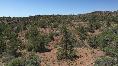 Lot View