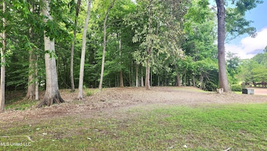 00 Bluff Hills Place, Natchez, MS 39120 - photo 5