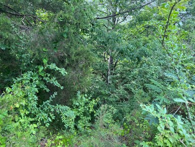 0 Highway 21 unit 20220652, Talladega, AL 35160 - photo 6