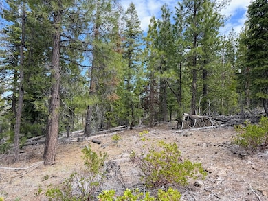 0 Yellowjacket Spring Rd unit 220202108, Beatty, OR 97621 - photo 5