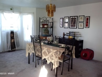 1155 W 8th St, St. Johns, AZ 85936 - photo 6