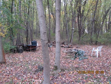 Wooded Area