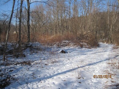 0 New York 17c, Owego, NY 13827 - photo 2