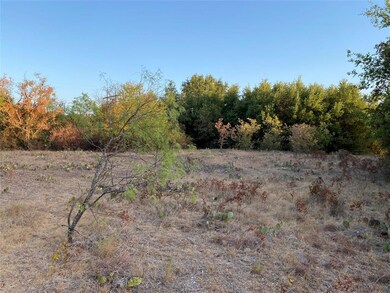 3713 Bob White Ct, Granbury, TX 76049 - photo 6