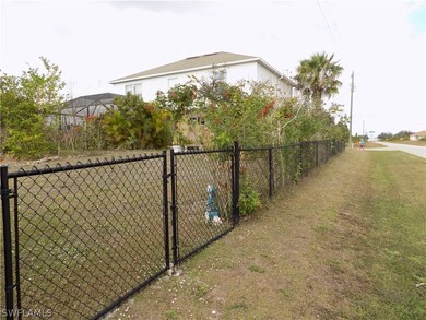 Fully enclosed rear and side yard.  Tropical lands