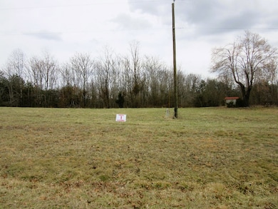5 Acres Callands Rd, Callands, VA 24530 - photo 4