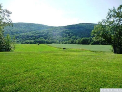 223 Perrys Corners Rd, Amenia, NY 12501 - photo 3