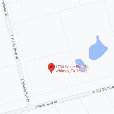 1730 White Bluff Dr, Whitney, TX 76692 - photo 4