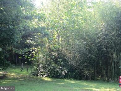 25 Jason Ln, Amissville, VA 20106 - photo 4