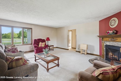 10-5023-Nichols-Rd-Mason-MI-48854-Window