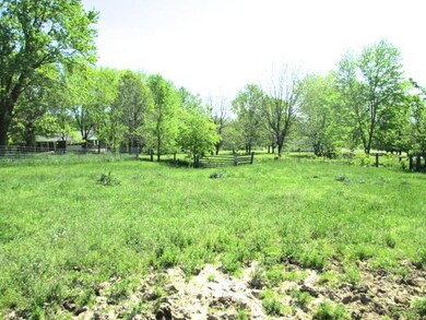 Another Yard View