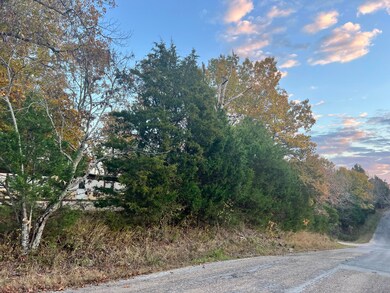 OZARK CO MO REAL ESTATE