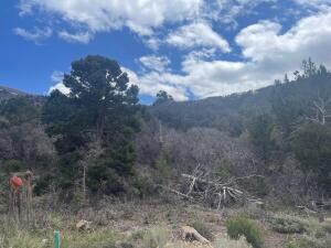 714 Cedar Highlands Dr, Cedar City, UT 84720 - photo 5