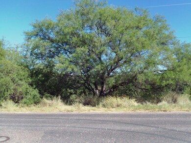 Front at Roadside