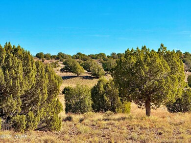 228, Concho, AZ 85924 - photo 6