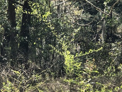 3140 Bessent Rd, Jacksonville, FL 32218 - photo 5