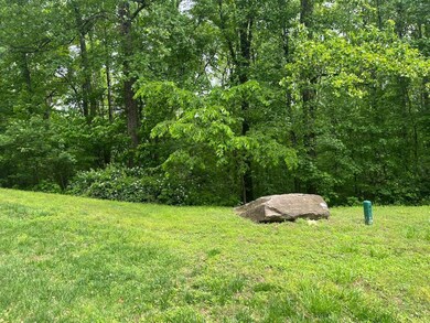 0 Plumley Summit Rd unit 11495050, Landrum, SC 29356 - photo 3