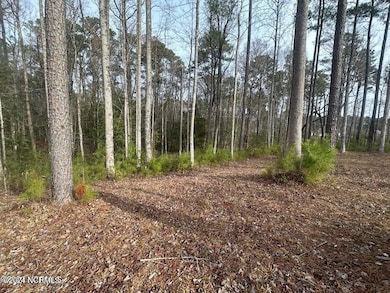 1007 Parchment Bluff