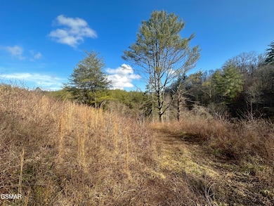 000 Leatherwood Rd, Sevierville, TN 37876 - photo 3