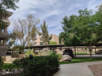 5132 N 31st Way unit 135, Phoenix, AZ 85016 - photo 5