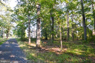 1705 Coster Dr, Shady Side, MD 20764 - photo 7