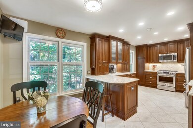 5006 Domain Place, Alexandria, VA 22311 - photo 6