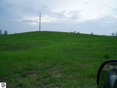 0 S Bugai Rd, Cedar, MI 49621 - photo 4