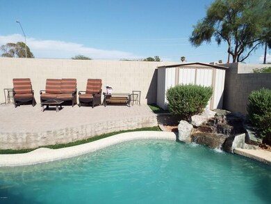 backyard (1)