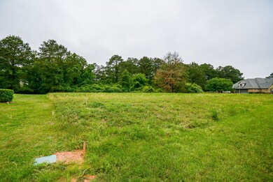 22420 Meadowhurst Cir W, Tomball, TX 77377 - photo 7