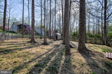 11009 Cedar Post Ln, Spotsylvania, VA 22553 - photo 4