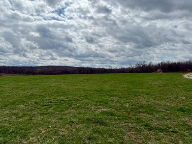 960 County Road 3030, Mountain View, MO 65548 - photo 2