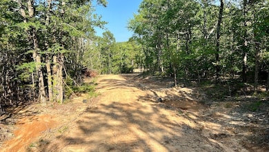 Flagpole Mountain Rd, Clayton, OK 74536 - photo 6