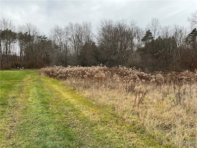 0 Feathers Creek Rd unit B1651106, Belmont, NY 14813 - photo 6