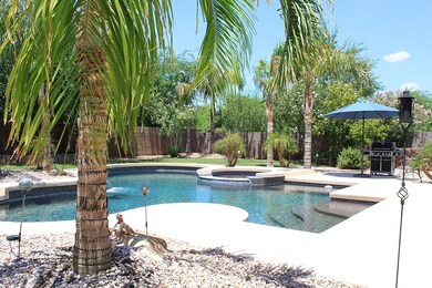 backyard3