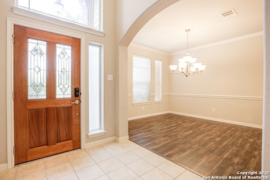 3618 Globe Willow, San Antonio, TX 78261 - photo 6