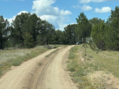 Coyote Court Rd to Lot 8