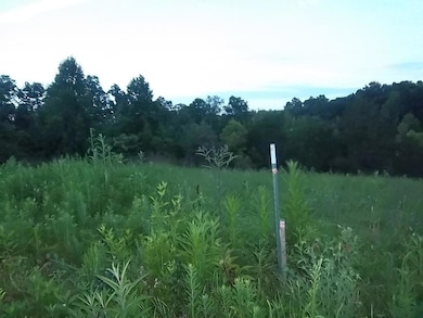 4726 Abednego Rd, Greenbrier, TN 37073 - photo 3