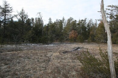 More Deer Runs