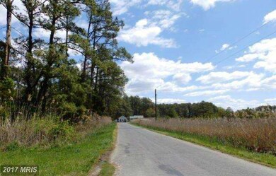 2806 Tedious Creek Rd, Toddville, MD 21672 - photo 3