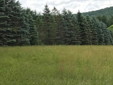 tree line