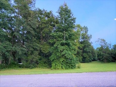 Lot 1 Ivanhoe Place, Dillon, SC 29536 - photo 4